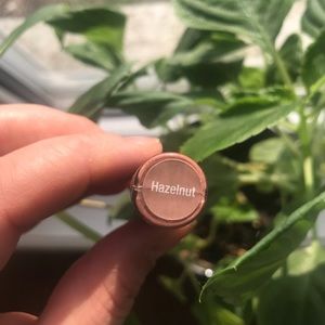 Hazelnut Lipsense